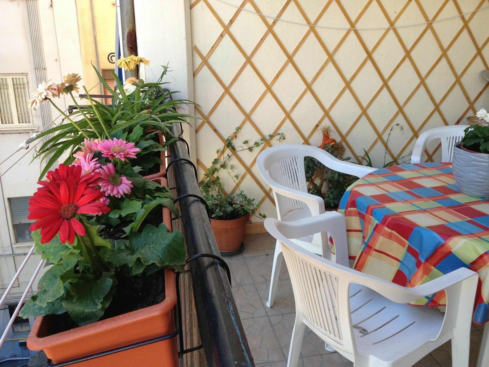 B&B Soleluna Della Solidarieta Palermo Exterior foto